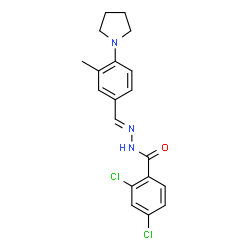 ChemSpider 2D Image | 2,4-Dichloro-N'-{(E)-[3-methyl-4-(1-pyrrolidinyl)phenyl]methylene}benzohydrazide | C19H19Cl2N3O