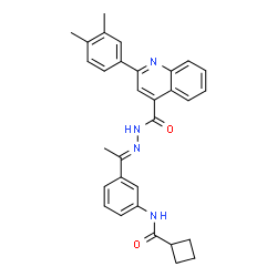 ChemSpider 2D Image | N-{3-[(1E)-N-{[2-(3,4-Dimethylphenyl)-4-quinolinyl]carbonyl}ethanehydrazonoyl]phenyl}cyclobutanecarboxamide | C31H30N4O2