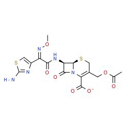 ChemSpider 2D Image | (6R,7R)-3-(Acetoxymethyl)-7-{[(2Z)-2-(2-amino-1,3-thiazol-4-yl)-2-(methoxyimino)acetyl]amino}-8-oxo-5-thia-1-azabicyclo[4.2.0]oct-2-ene-2-carboxylate | C16H16N5O7S2