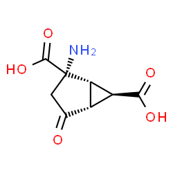 ChemSpider 2D Image | (1S,2S,5R,6R)-2-Amino-4-oxobicyclo[3.1.0]hexane-2,6-dicarboxylic acid | C8H9NO5