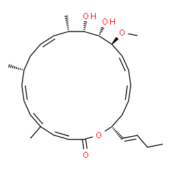 ChemSpider 2D Image | (3Z,5Z,7Z,9R,11Z,13S,14S,15S,16S,17Z,19Z,22R)-22-[(1E)-1-Buten-1-yl]-14,15-dihydroxy-16-methoxy-5,9,13-trimethyloxacyclodocosa-3,5,7,11,17,19-hexaen-2-one | C29H42O5