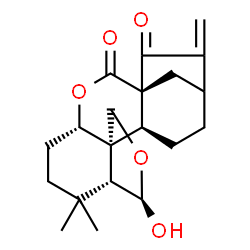 ChemSpider 2D Image | (1S,4S,8R,9R,12S,13S)-9-Hydroxy-7,7-dimethyl-17-methylene-3,10-dioxapentacyclo[14.2.1.0~1,13~.0~4,12~.0~8,12~]nonadecane-2,18-dione | C20H26O5