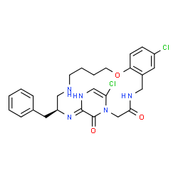 ChemSpider 2D Image | (19S,20Z)-19-Benzyl-8,24-dichloro-12-oxa-1,4,17,20,22-pentaazatricyclo[19.3.1.0~6,11~]pentacosa-6,8,10,20,23-pentaene-3,25-dione | C26H29Cl2N5O3