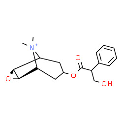 ChemSpider 2D Image | (2R,4S)-7-[(3-Hydroxy-2-phenylpropanoyl)oxy]-9,9-dimethyl-3-oxa-9-azoniatricyclo[3.3.1.0~2,4~]nonane | C18H24NO4