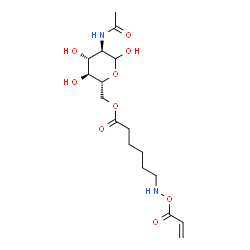 ChemSpider 2D Image | 2-Acetamido-6-O-{6-[(acryloyloxy)amino]hexanoyl}-2-deoxy-D-glucopyranose | C17H28N2O9