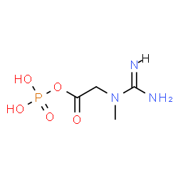 ChemSpider 2D Image | (N-Methylcarbamimidamido)acetyl dihydrogen phosphate | C4H10N3O5P