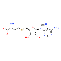 ChemSpider 2D Image | SAMe | C15H22N6O5S