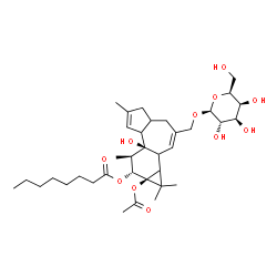 ChemSpider 2D Image | (7bS,8R,9R,9aS)-9a-Acetoxy-3-[(beta-L-galactopyranosyloxy)methyl]-7b-hydroxy-1,1,6,8-tetramethyl-1a,1b,4,4a,5,7a,7b,8,9,9a-decahydro-1H-cyclopropa[3,4]benzo[1,2-e]azulen-9-yl octanoate | C36H56O11
