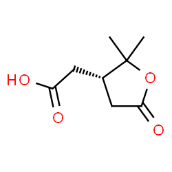 ChemSpider 2D Image | [(3S)-2,2-Dimethyl-5-oxotetrahydro-3-furanyl]acetic acid | C8H12O4