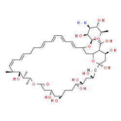 ChemSpider 2D Image | (1R,3S,5R,6R,9R,11R,15S,16R,17R,18S,36R,37S)-33-[(3-Amino-3,6-dideoxy-beta-D-mannopyranosyl)oxy]-1,3,5,6,9,11,17,37-octahydroxy-15,16,18-trimethyl-13-oxo-14,39-dioxabicyclo[33.3.1]nonatriaconta-19,21,
25,27,29,31-hexaene-36-carboxylic acid | C47H75NO17