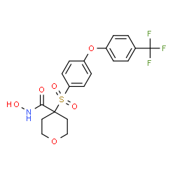 ChemSpider 2D Image | N-Hydroxy-4-({4-[4-(trifluoromethyl)phenoxy]phenyl}sulfonyl)tetrahydro-2H-pyran-4-carboxamide | C19H18F3NO6S