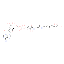 ChemSpider 2D Image | 1-[(2R,3S,4R)-5-(6-Amino-9H-purin-9-yl)-4-hydroxy-3-(phosphonooxy)tetrahydro-2-furanyl]-3,5,9,21-tetrahydroxy-8,8,21-trimethyl-10,14,19-trioxo-2,4,6-trioxa-18-thia-11,15-diaza-3,5-diphosphatricosan-23
-oic acid 3,5-dioxide | C27H44N7O20P3S