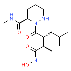 ChemSpider 2D Image | (3S)-2-{(2R)-2-[(2S)-1-(Hydroxyamino)-1-oxo-2-propanyl]-4-methylpentanoyl}-N-methylhexahydro-3-pyridazinecarboxamide | C15H28N4O4