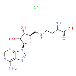 ChemSpider 2D Image | (3S)-5'-((3-Amino-3-carboxypropyl)methylsulphonio)-5'-deoxyadenosine chloride | C15H23ClN6O5S