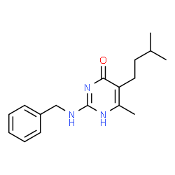 ChemSpider 2D Image | 2-(Benzylamino)-6-methyl-5-(3-methylbutyl)-4(1H)-pyrimidinone | C17H23N3O