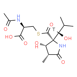 ChemSpider 2D Image | N-Acetyl-S-({(2R,3S,4R)-3-hydroxy-2-[(1R)-1-hydroxy-2-methyl(1-~3~H)propyl]-4-methyl-5-oxo-2-pyrrolidinyl}carbonyl)-L-cysteine | C15H23TN2O7S