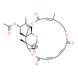 ChemSpider 2D Image | (1'R,2S,3'R,6'S,8'R,12'Z,18'Z,20'Z,24'R,25'S)-5',13',25'-Trimethyl-11',17',22'-trioxospiro[oxirane-2,26'-[2,10,16,23]tetraoxatetracyclo[22.2.1.0~3,8~.0~8,25~]heptacosa[4,12,18,20]tetraen]-6'-yl acetat
e | C29H34O10