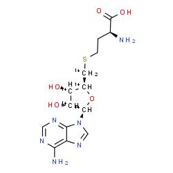 ChemSpider 2D Image | (2S)-2-Amino-4-({[(2S,3S,4R,5R)-5-(6-amino-9H-purin-9-yl)-3,4-dihydroxy(~14~C_4_)tetrahydro-2-furanyl](~14~C)methyl}sulfanyl)butanoic acid | C914C5H20N6O5S