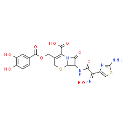 ChemSpider 2D Image | 7-{[(2Z)-2-(2-Amino-1,3-thiazol-4-yl)-2-(hydroxyimino)acetyl]amino}-3-{[(3,4-dihydroxybenzoyl)oxy]methyl}-8-oxo-5-thia-1-azabicyclo[4.2.0]oct-2-ene-2-carboxylic acid | C20H17N5O9S2