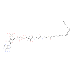 ChemSpider 2D Image | S-[2-[3-[[(2S)-4-[[[(2R,3S,4R,5R)-5-(6-aminopurin-9-yl)-4-hydroxy-3-phosphonooxy-tetrahydrofuran-2-yl]methoxy-hydroxy-phosphoryl]oxy-hydroxy-phosphoryl]oxy-2-hydroxy-3,3-dimethyl-butanoyl]amino]propanoylamino]ethyl] (9Z,12Z)-octadeca-9,12-dienethioate | C39H66N7O17P3S