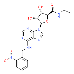 ChemSpider 2D Image | (2S,3S,4R,5R)-N-Ethyl-3,4-dihydroxy-5-{6-[(2-nitrobenzyl)amino]-9H-purin-9-yl}tetrahydro-2-furancarboxamide | C19H21N7O6