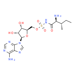 ChemSpider 2D Image | 5'-O-(L-Isoleucylsulfamoyl)adenosine | C16H25N7O7S