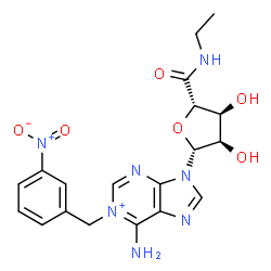ChemSpider 2D Image | 6-Amino-9-[(2R,3R,4S,5S)-5-(ethylcarbamoyl)-3,4-dihydroxytetrahydro-2-furanyl]-1-(3-nitrobenzyl)-9H-purin-1-ium | C19H22N7O6