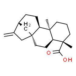 ChemSpider 2D Image | (5beta,9beta,13alpha)-Kaur-16-en-19-oic acid | C20H30O2