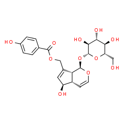 ChemSpider 2D Image | [(1R,4aS,5R,7aR)-1-(beta-L-Glucopyranosyloxy)-5-hydroxy-1,4a,5,7a-tetrahydrocyclopenta[c]pyran-7-yl]methyl 4-hydroxybenzoate | C22H26O11
