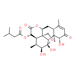 ChemSpider 2D Image | (1alpha,5beta,7alpha,8alpha,9beta,10alpha,11alpha,12beta,13beta,14alpha,15alpha)-1,11,12-Trihydroxy-2,16-dioxo-11,20-epoxypicras-3-en-15-yl 3-methylbutanoate | C25H34O9