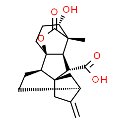 ChemSpider 2D Image | (1R,2R,5S,8R,9S,10R,11S,12S)-12-Hydroxy-11-methyl-6-methylene-16-oxo-15-oxapentacyclo[9.3.2.1~5,8~.0~1,10~.0~2,8~]heptadecane-9-carboxylic acid | C19H24O5