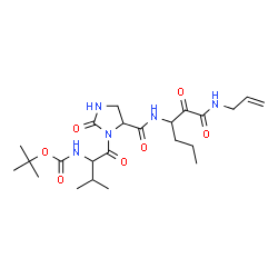 ChemSpider 2D Image | 2-Methyl-2-propanyl [1-(5-{[1-(allylamino)-1,2-dioxo-3-hexanyl]carbamoyl}-2-oxo-1-imidazolidinyl)-3-methyl-1-oxo-2-butanyl]carbamate | C23H37N5O7
