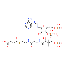 ChemSpider 2D Image | Succinyl-CoA | C25H40N7O19P3S