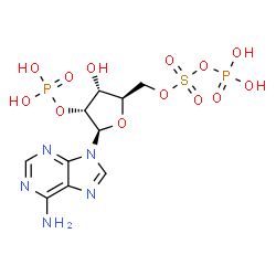 ChemSpider 2D Image | 5'-O-[(Phosphonooxy)sulfonyl]adenosine 2'-(dihydrogen phosphate) | C10H15N5O13P2S