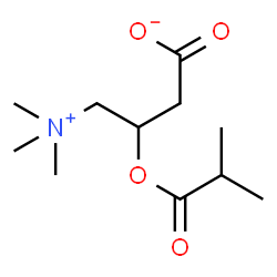 ChemSpider 2D Image | isobutyryl-L-carnitine | C11H21NO4