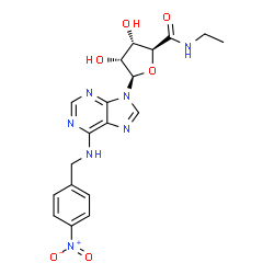 ChemSpider 2D Image | (2S,3S,4R,5R)-N-Ethyl-3,4-dihydroxy-5-{6-[(4-nitrobenzyl)amino]-9H-purin-9-yl}tetrahydro-2-furancarboxamide | C19H21N7O6