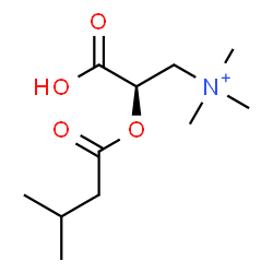 ChemSpider 2D Image | (2R)-2-Carboxy-N,N,N-trimethyl-2-[(3-methylbutanoyl)oxy]ethanaminium | C11H22NO4