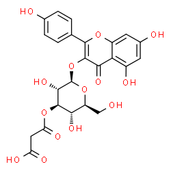ChemSpider 2D Image | 5,7-Dihydroxy-2-(4-hydroxyphenyl)-4-oxo-4H-chromen-3-yl 3-O-(carboxyacetyl)-beta-L-glucopyranoside | C24H22O14