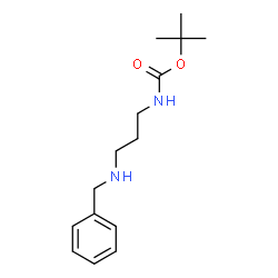 ChemSpider 2D Image | 2-Methyl-2-propanyl [3-(benzylamino)propyl]carbamate | C15H24N2O2