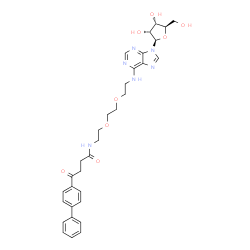 ChemSpider 2D Image | N-{2-[2-(2-{[4-(4-Biphenylyl)-4-oxobutanoyl]amino}ethoxy)ethoxy]ethyl}adenosine | C32H38N6O8