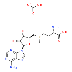 ChemSpider 2D Image | [(3S)-3-Amino-3-carboxypropyl]{[(2S,3S,4R,5R)-5-(6-amino-9H-purin-9-yl)-3,4-dihydroxytetrahydro-2-furanyl]methyl}methylsulfonium hydrogen carbonate | C16H24N6O8S