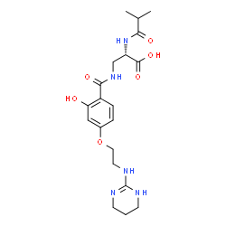 ChemSpider 2D Image | 3-({2-Hydroxy-4-[2-(1,4,5,6-tetrahydro-2-pyrimidinylamino)ethoxy]benzoyl}amino)-N-isobutyryl-L-alanine | C20H29N5O6
