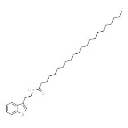 ChemSpider 2D Image | Behenic acid tryptamide | C32H54N2O