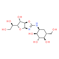 ChemSpider 2D Image | (1R,2S,3S,4S,6R)-4-({(3aS,5R,6S,6aR)-5-[(1R)-1,2-Dihydroxyethyl]-6-hydroxy-3a,5,6,6a-tetrahydrofuro[2,3-d][1,3]oxazol-2-yl}amino)-6-(hydroxymethyl)-1,2,3-cyclohexanetriol | C14H24N2O9