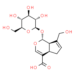 ChemSpider 2D Image | (1R,4aR,7aR)-1-(beta-L-Glucopyranosyloxy)-7-(hydroxymethyl)-1,4a,5,7a-tetrahydrocyclopenta[c]pyran-4-carboxylic acid | C16H22O10