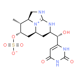 ChemSpider 2D Image | (2aS,3R,4S,5aS,7R)-7-[(S)-(2,6-Dioxo-1,2,3,6-tetrahydro-4-pyrimidinyl)(hydroxy)methyl]-3-methyl-1,2,2a,3,4,5,5a,6,7,8-decahydro-1,8-diaza-8b-azoniaacenaphthylen-4-yl sulfate | C15H21N5O7S