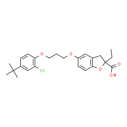 ChemSpider 2D Image | 5-[3-(4-tert-butyl-2-chlorophenoxy)propoxy]-2-ethyl-2,3-dihydro-1-benzofuran-2-carboxylic acid | C24H29ClO5