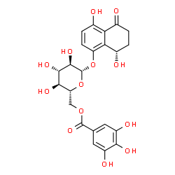 ChemSpider 2D Image | (8S)-4,8-Dihydroxy-5-oxo-5,6,7,8-tetrahydro-1-naphthalenyl 6-O-(3,4,5-trihydroxybenzoyl)-beta-D-glucopyranoside | C23H24O13