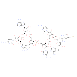 ChemSpider 2D Image | (2R,3S,4R,5R)-5-(4-Amino-2-oxo-1(2H)-pyrimidinyl)-2-({[{[(2R,3S,4R,5R)-5-(4-amino-2-oxo-1(2H)-pyrimidinyl)-2-({[{[(2R,3S,4R,5R)-2-({[{[(2R,3S,4R,5R)-2-({[{[(2R,3S,4R,5R)-5-(4-amino-2-oxo-1(2H)-pyrimid
inyl)-4-hydroxy-2-(hydroxymethyl)tetrahydro-3-furanyl]oxy}(hydroxy)phosphoryl]oxy}methyl)-5-(6-amino-9H-purin-9-yl)-4-hydroxytetrahydro-3-furanyl]oxy}(hydroxy)phosphoryl]oxy}methyl)-5-(6-amino-9H-puri
n-9-yl)-4-hydroxytetrahydro-3-furanyl]oxy}(h | C63H83N26O38P5S