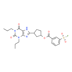 ChemSpider 2D Image | 3-(2,6-Dioxo-1,3-dipropyl-2,3,6,7-tetrahydro-1H-purin-8-yl)cyclopentyl 3-(fluorosulfonyl)benzoate | C23H27FN4O6S